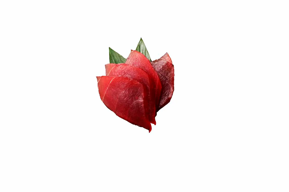 SA6 Thon rouge