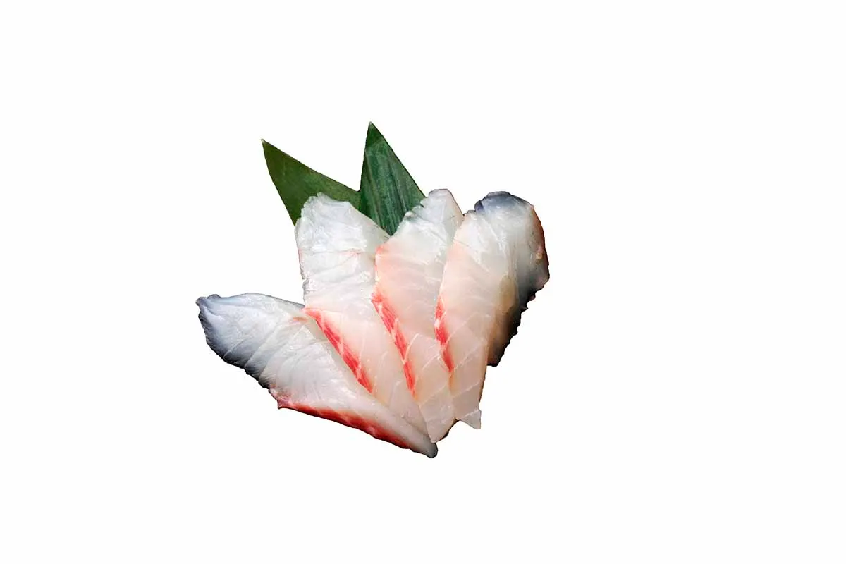SA3 Sashimi daurade